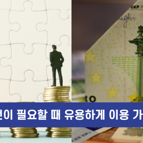 비상금대출