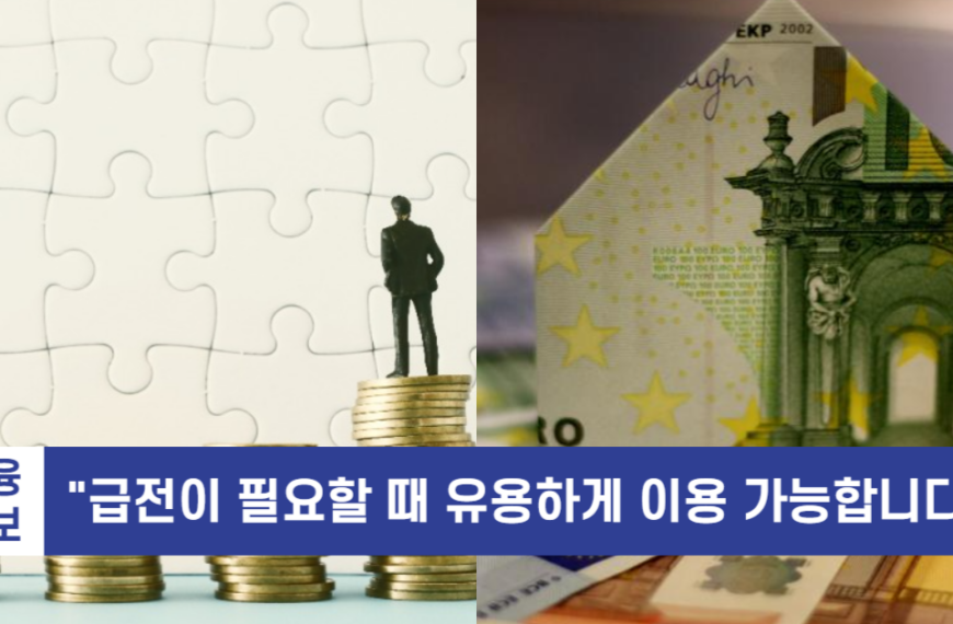 비상금대출