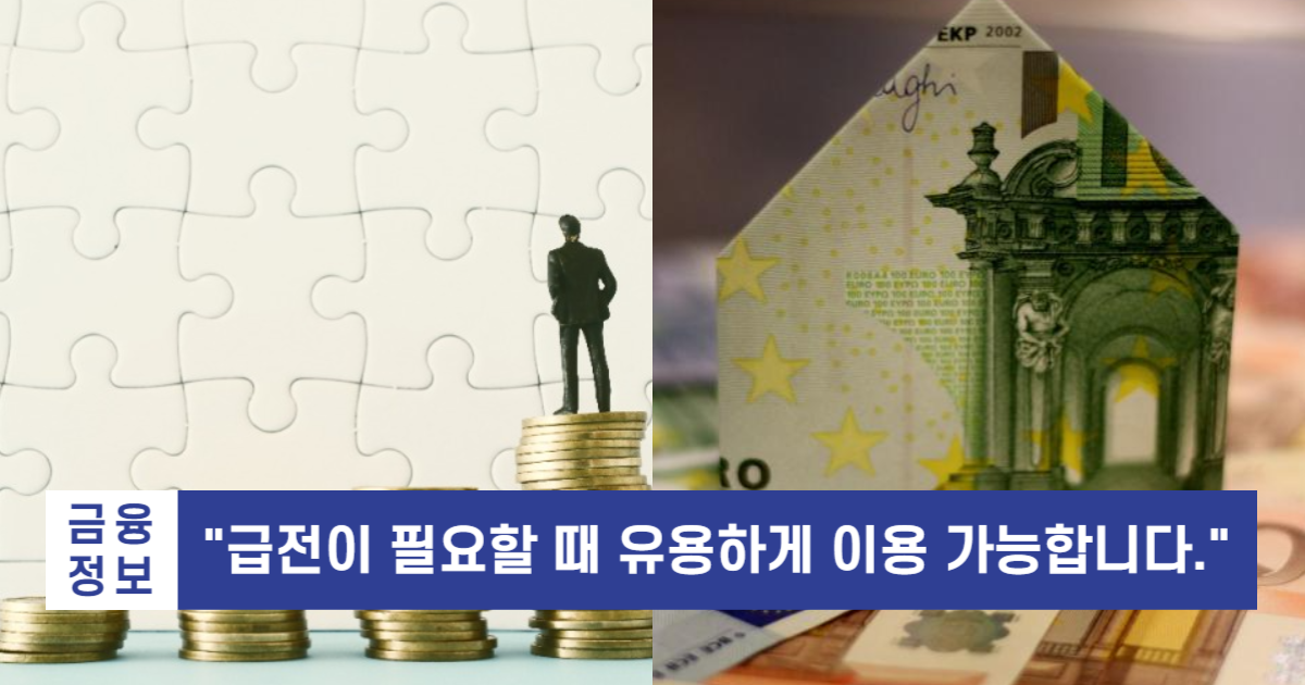 비상금대출