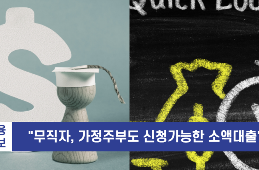 소액대출