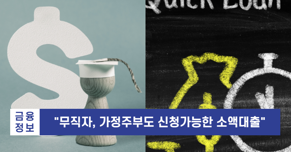 소액대출