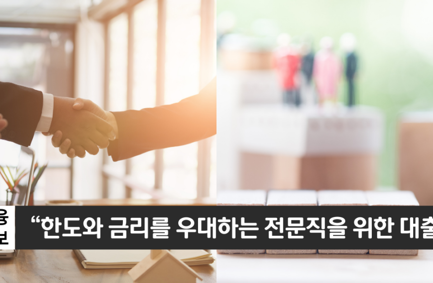 “전문직의 자금융통을 지원합니다”..하나은행 전문직 신용대출