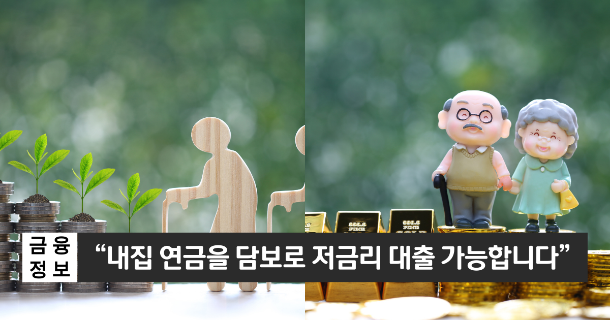 "내집 연금을 담보로 대출 가능합니다"..신한은행 내집연금 연계대출 1