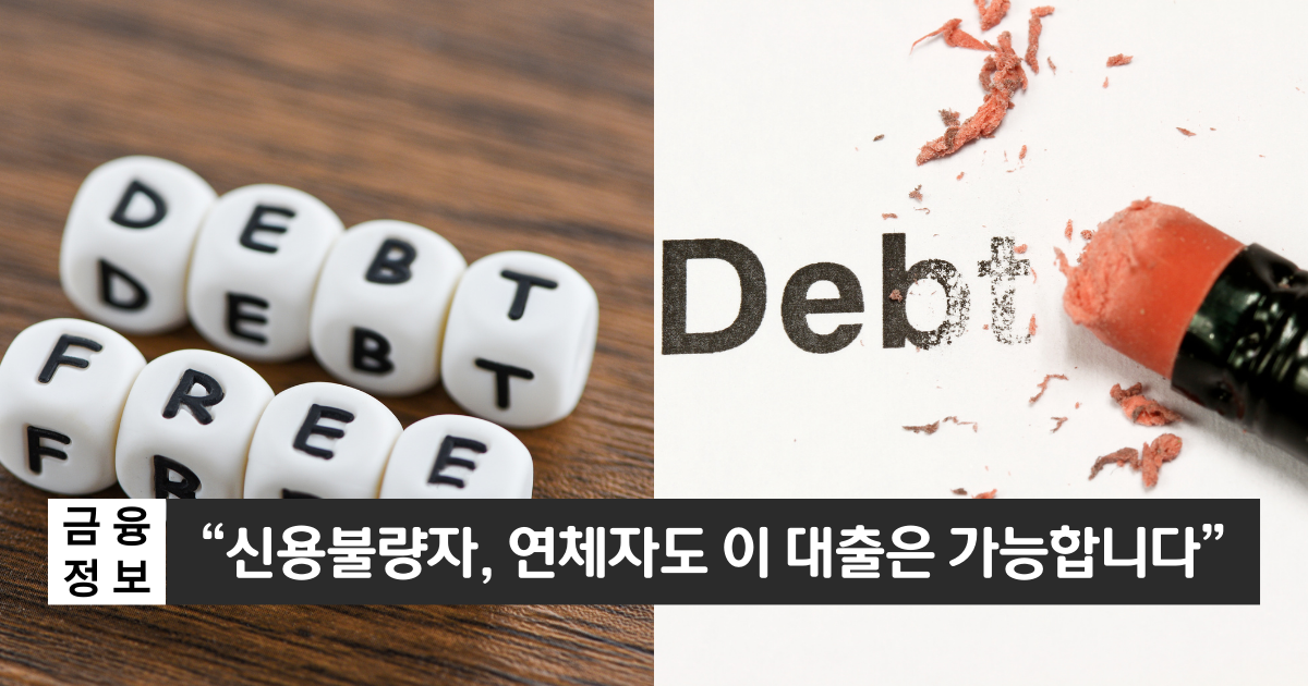 "신용불량자도 이용가능합니다"..삼성생명 보험계약대출 1