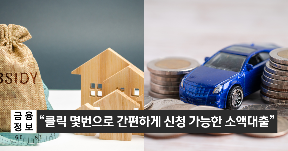 “간편하게 신청할 수 있는 소액대출”..신한은행 쏠편한 포켓론