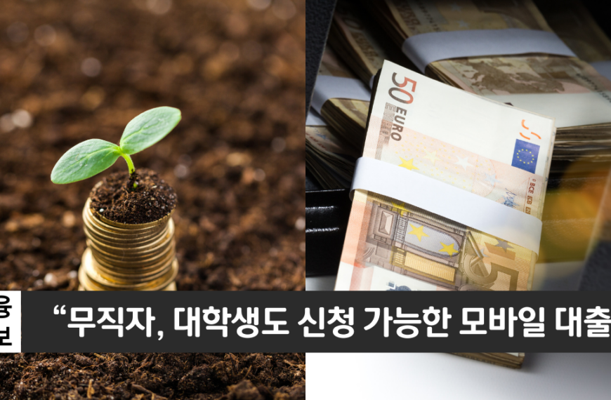 “무직자, 가정주부, 대학생도 신청 가능”..신한은행 비상금대출