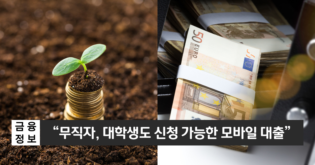 "무직자, 가정주부, 대학생도 신청 가능"..신한은행 비상금대출 1